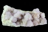 Cactus Quartz (Amethyst) Cluster - South Africa #80016-2